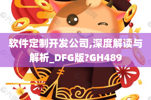 软件定制开发公司,深度解读与解析_DFG版?GH489