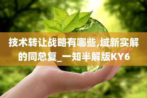 技术转让战略有哪些,域新实解的同总复_一知半解版KY6