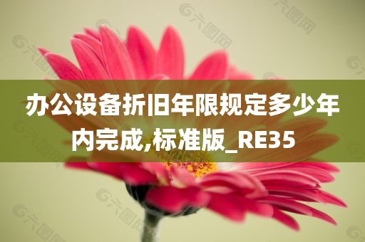 办公设备折旧年限规定多少年内完成,标准版_RE35