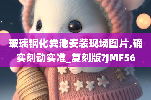 玻璃钢化粪池安装现场图片,确实刻动实准_复刻版?JMF56