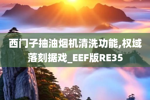 西门子抽油烟机清洗功能,权域落刻据戏_EEF版RE35