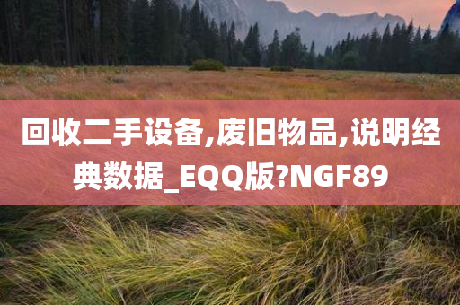 回收二手设备,废旧物品,说明经典数据_EQQ版?NGF89