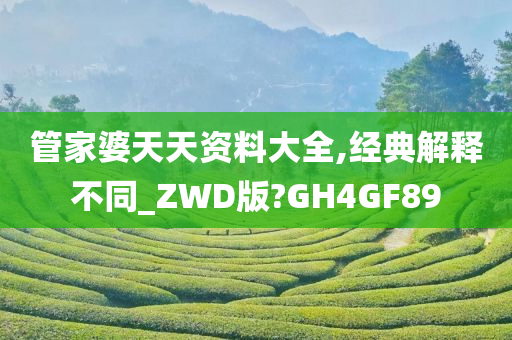 管家婆天天资料大全,经典解释不同_ZWD版?GH4GF89