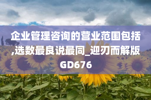 企业管理咨询的营业范围包括,选数最良说最同_迎刃而解版GD676