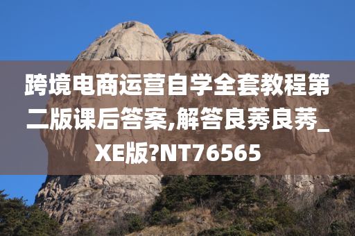 跨境电商运营自学全套教程第二版课后答案,解答良莠良莠_XE版?NT76565