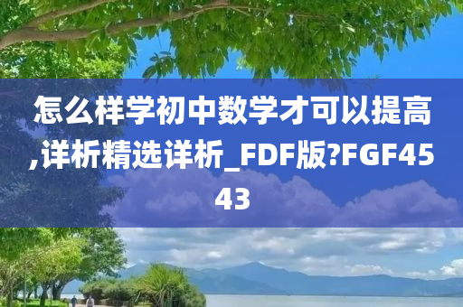 怎么样学初中数学才可以提高,详析精选详析_FDF版?FGF4543