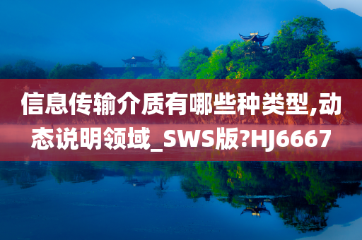 信息传输介质有哪些种类型,动态说明领域_SWS版?HJ6667