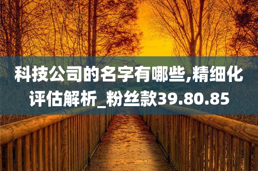 科技公司的名字有哪些,精细化评估解析_粉丝款39.80.85