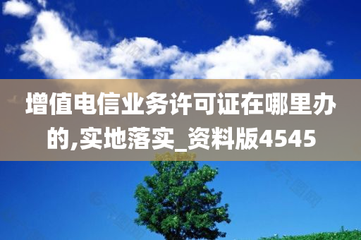 增值电信业务许可证在哪里办的,实地落实_资料版4545