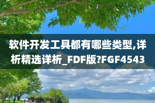 软件开发工具都有哪些类型,详析精选详析_FDF版?FGF4543