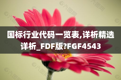 国标行业代码一览表,详析精选详析_FDF版?FGF4543