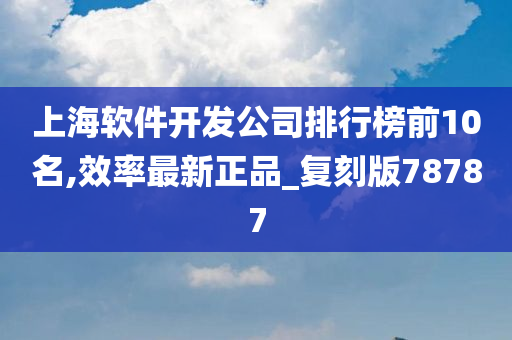 上海软件开发公司排行榜前10名,效率最新正品_复刻版78787