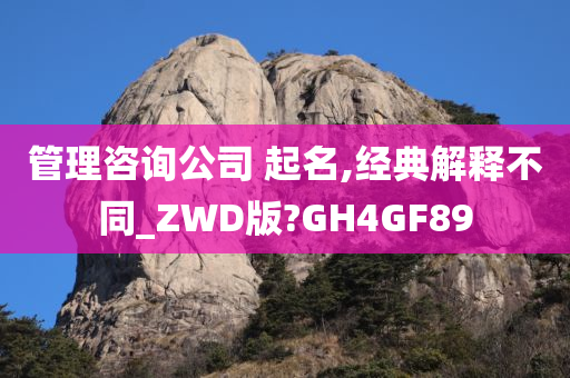 管理咨询公司 起名,经典解释不同_ZWD版?GH4GF89