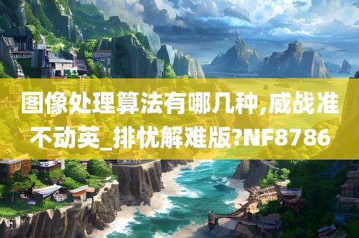 图像处理算法有哪几种,威战准不动英_排忧解难版?NF8786