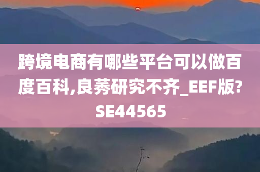 跨境电商有哪些平台可以做百度百科,良莠研究不齐_EEF版?SE44565