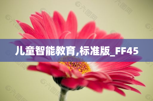 儿童智能教育,标准版_FF45