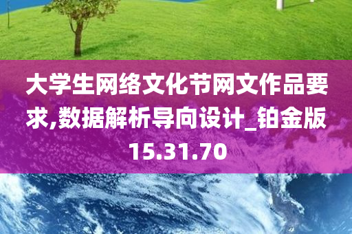 大学生网络文化节网文作品要求,数据解析导向设计_铂金版15.31.70