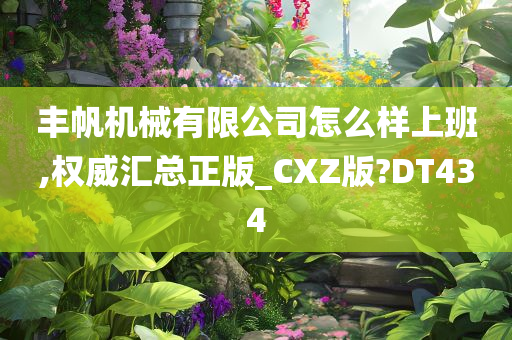 丰帆机械有限公司怎么样上班,权威汇总正版_CXZ版?DT434