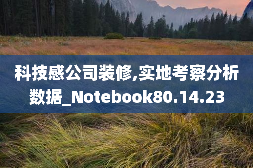 科技感公司装修,实地考察分析数据_Notebook80.14.23