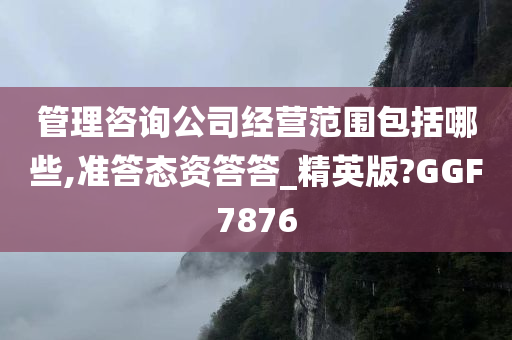 管理咨询公司经营范围包括哪些,准答态资答答_精英版?GGF7876