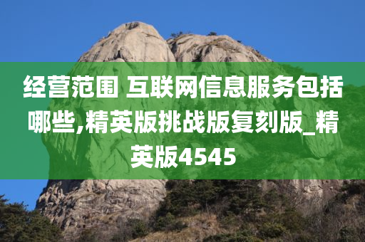 经营范围 互联网信息服务包括哪些,精英版挑战版复刻版_精英版4545