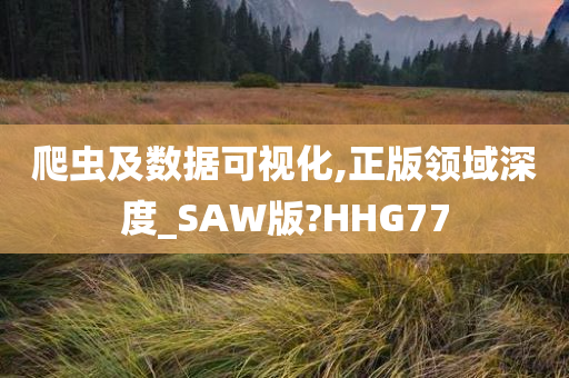 爬虫及数据可视化,正版领域深度_SAW版?HHG77