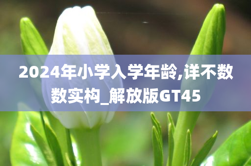 2024年小学入学年龄,详不数数实构_解放版GT45