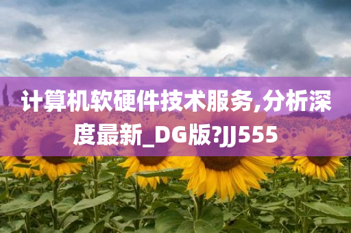 计算机软硬件技术服务,分析深度最新_DG版?JJ555