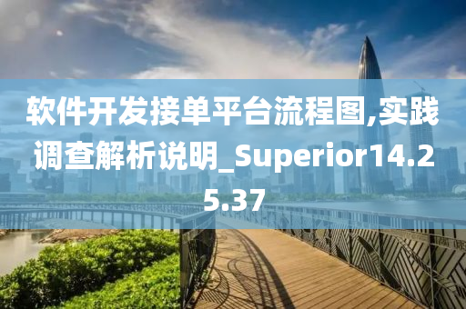 软件开发接单平台流程图,实践调查解析说明_Superior14.25.37