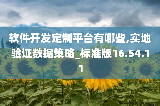 软件开发定制平台有哪些,实地验证数据策略_标准版16.54.11