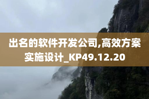 出名的软件开发公司,高效方案实施设计_KP49.12.20