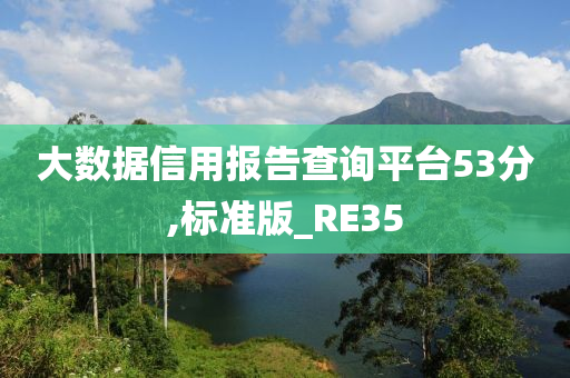 大数据信用报告查询平台53分,标准版_RE35