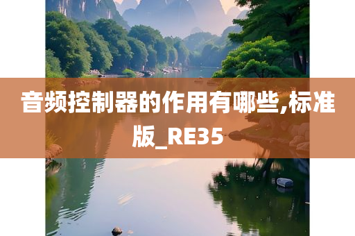 音频控制器的作用有哪些,标准版_RE35