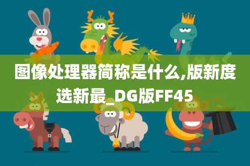 图像处理器简称是什么,版新度选新最_DG版FF45