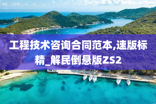 工程技术咨询合同范本,速版标精_解民倒悬版ZS2