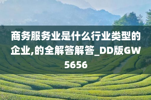 商务服务业是什么行业类型的企业,的全解答解答_DD版GW5656