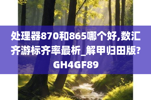 处理器870和865哪个好,数汇齐游标齐率最析_解甲归田版?GH4GF89