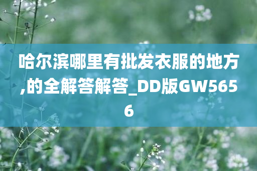 哈尔滨哪里有批发衣服的地方,的全解答解答_DD版GW5656