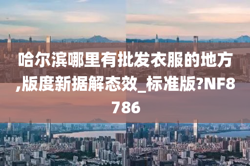 哈尔滨哪里有批发衣服的地方,版度新据解态效_标准版?NF8786