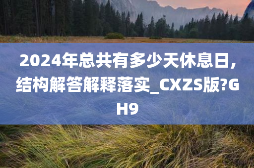 2024年总共有多少天休息日,结构解答解释落实_CXZS版?GH9