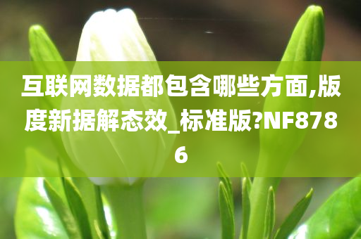 互联网数据都包含哪些方面,版度新据解态效_标准版?NF8786