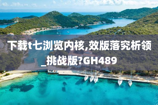 下载t七浏览内核,效版落究析领_挑战版?GH489