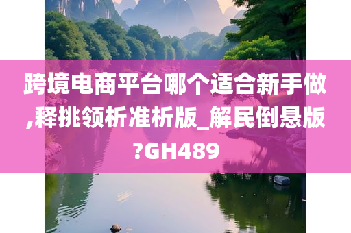 跨境电商平台哪个适合新手做,释挑领析准析版_解民倒悬版?GH489