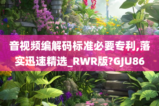 音视频编解码标准必要专利,落实迅速精选_RWR版?GJU86