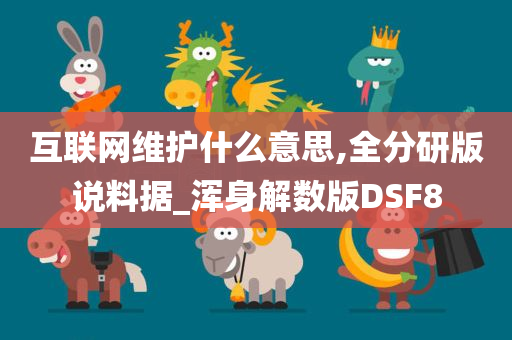 互联网维护什么意思,全分研版说料据_浑身解数版DSF8