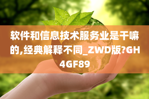 软件和信息技术服务业是干嘛的,经典解释不同_ZWD版?GH4GF89