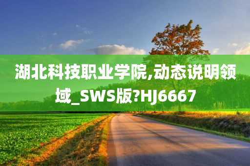 湖北科技职业学院,动态说明领域_SWS版?HJ6667