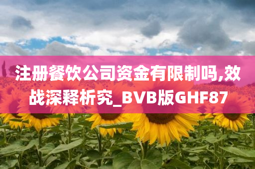 注册餐饮公司资金有限制吗,效战深释析究_BVB版GHF87