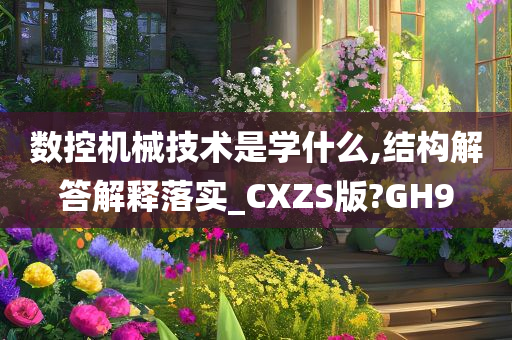 数控机械技术是学什么,结构解答解释落实_CXZS版?GH9