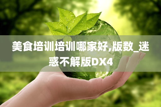 美食培训培训哪家好,版数_迷惑不解版DX4